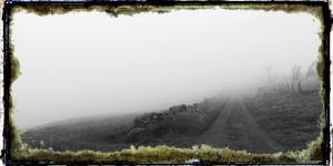 Beitragsbild des Blogbeitrags Springer Mound