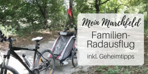 Beitragsbild des Blogbeitrags Familienausflug – Radfahren im Nationalpark Donau-Auen + Spielplatz Empfehlung