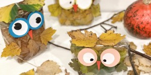 Beitragsbild des Blogbeitrags Easy DIY Eulen: schnell, einfach und günstig eure eigene Herbst Deko basteln.