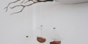 Beitragsbild des Blogbeitrags DIY | Herbstliche Dekoration – Luftschiffe aus Nussschalen