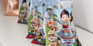 Beitragsbild des Blogbeitrags Paw Patrol Kindergeburtstag: Ideen für die perfekte Fellfreund Party!