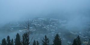 Beitragsbild des Blogbeitrags Spannender Pflichttermin für Tier- & NaturfotografInnen 