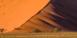 Beitragsbild des Blogbeitrags Naturfotografie in Namibia – Unsere Reise im Überblick