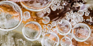 Beitragsbild des Blogbeitrags Naturfotografie im Winter