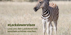 Beitragsbild des Blogbeitrags Lockdownreisen – online die Welt bereisen