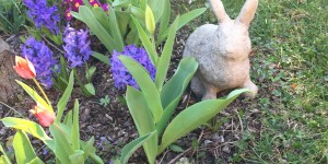 Beitragsbild des Blogbeitrags Familien-Momente // April im Haus No.6