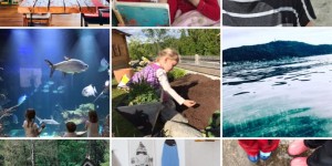 Beitragsbild des Blogbeitrags Familien-Momente // Mai und Juni im Haus No.6 