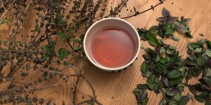 Beitragsbild des Blogbeitrags Sonntags im Haus No.6 – 12 von 12 im November