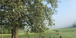 Beitragsbild des Blogbeitrags Wochenende in Bilder – und uns gibt es noch (27. bis 29.4.2018)