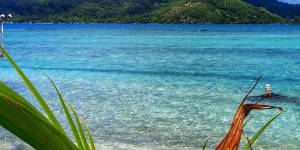 Beitragsbild des Blogbeitrags Bora Bora – ein Traum der wahr wurde