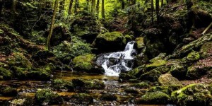 Beitragsbild des Blogbeitrags Ysperklamm – Eine kleine Auszeit für Herz & Seele