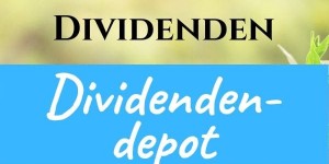 Beitragsbild des Blogbeitrags Dividendendepot Einkommensreport zum Jahresabschluss 2019 