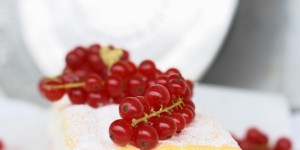 Beitragsbild des Blogbeitrags I am from Austria | Topfenschnitte mit Früchten