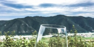 Beitragsbild des Blogbeitrags Visual Diary: Ein Tag bei der Domäne Wachau