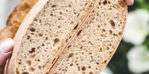 Beitragsbild des Blogbeitrags Rezept für ein einfaches Kartoffelbrot mit Sauerteig 
