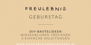 Beitragsbild des Blogbeitrags Wiesenblumen trocknen – 3 einfache Anleitungen