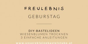 Beitragsbild des Blogbeitrags Wiesenblumen trocknen – 3 einfache Anleitungen 