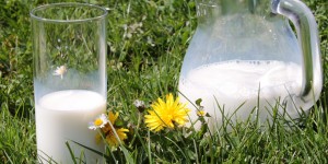 Beitragsbild des Blogbeitrags Milchprodukte als heimliche Zuckerfallen – 1200 Produkte im Test