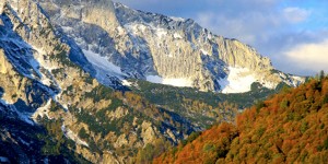 Beitragsbild des Blogbeitrags Weltnaturerbe: Wildnisgebiet Dürrenstein & Nationalpark Kalkalpen