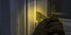 Beitragsbild des Blogbeitrags „Wenn dort eine Alarmanlage war, sind wir nicht reingegangen“