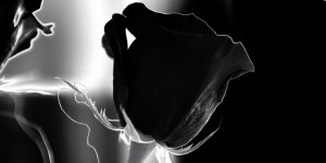 Beitragsbild des Blogbeitrags Erben 2.0: Wem hinterlasse ich meine Online-Fotosammlung?