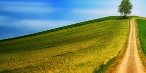 Beitragsbild des Blogbeitrags Wege aus der Einsamkeit – damit das Alleinsein nicht krankt macht