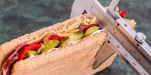 Beitragsbild des Blogbeitrags Die Österreicher möchten in Summe 44.000 Tonnen abnehmen