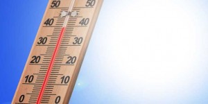 Beitragsbild des Blogbeitrags Hitze – so reagiert unser Körper auf die extremen Temperaturen 