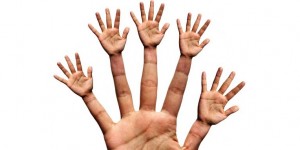 Beitragsbild des Blogbeitrags Das Wunder Mensch: wie Körperzellen zu ihrer Bestimmung finden