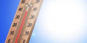 Beitragsbild des Blogbeitrags Hitze – so reagiert unser Körper auf die extremen Temperaturen