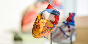 Beitragsbild des Blogbeitrags Herzgesundheit in Ö – wo wir aktuell stehen und was wir brauchen