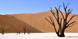 Beitragsbild des Blogbeitrags Namibia – das Land der roten Stille zwischen Wüste und Atlantik 