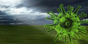 Beitragsbild des Blogbeitrags B.1.351 – Was wir über die Südafrika Corona-Virus Mutante wissen 