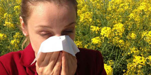 Beitragsbild des Blogbeitrags Pollensaison – es ist [viel] mehr als bloß „ein Kitzeln in der Nase“ 