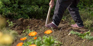 Beitragsbild des Blogbeitrags Garten ist Freiheit – in der Krise greift der Mensch zum Spaten