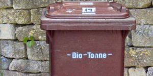 Beitragsbild des Blogbeitrags Zu gut für die Tonne – die Sache mit der Lebensmittelverschwendung