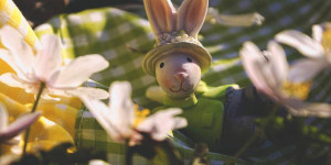 Beitragsbild des Blogbeitrags Der Frühling treibts bunt: Die schönsten floralen Trends zu Ostern