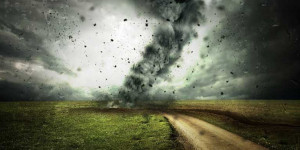Beitragsbild des Blogbeitrags Klimawandel: starke Auswirkungen auf Asthmatiker und Allergiker