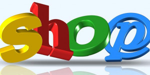 Beitragsbild des Blogbeitrags Im „Netz verfangen“ – wenn man online bei Fake-Shops einkauft