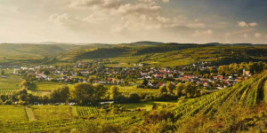 Beitragsbild des Blogbeitrags Die besten Wander-Tipps für NÖ abseits des Mainstreams