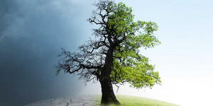 Beitragsbild des Blogbeitrags Special Report: Klimaschutz ist ‘Gamechanger – auch im Tourismus