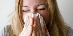 Beitragsbild des Blogbeitrags Die Rolle von Epithelzellen bei Atemwegs-Allergien auf dem Prüfstand 