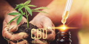 Beitragsbild des Blogbeitrags Der Hype um CBD Öl – echtes Wundermittel oder Geldmacherei?