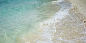 Beitragsbild des Blogbeitrags I need Vitamin SEA