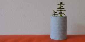 Beitragsbild des Blogbeitrags Upcycling – Babybreigläschen als Blumentöpfe
