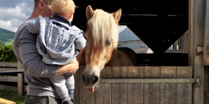 Beitragsbild des Blogbeitrags Gewinne einen Familienurlaub in Salzburg!