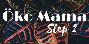 Beitragsbild des Blogbeitrags Öko Mama – Step 2