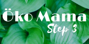 Beitragsbild des Blogbeitrags Öko Mama – Step 3 