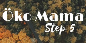 Beitragsbild des Blogbeitrags Öko Mama – Step 5 (ökologischer Fußabdruck)