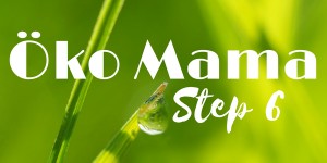 Beitragsbild des Blogbeitrags Öko Mama – Step 6 (Vegane Ernährung)